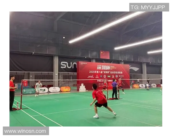 深圳羽毛球队在全国锦标赛中的个人能力分析与表现评估